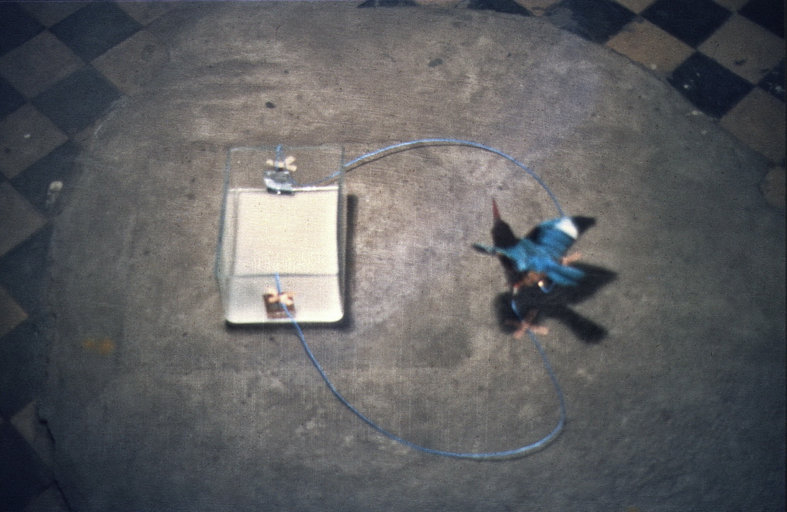 Keimzelle "Salzkriechen". Batterie/Eisvogel, Detail Jutta Neuhaus, Installation, 1981