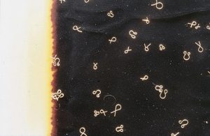 zeigt Lettern Alpha und Omega klein, gebogen aus Messingdraht, auf etwas staubigem schwarzen Samt; Belichtungsschaden links senkkrecht feuerfarben